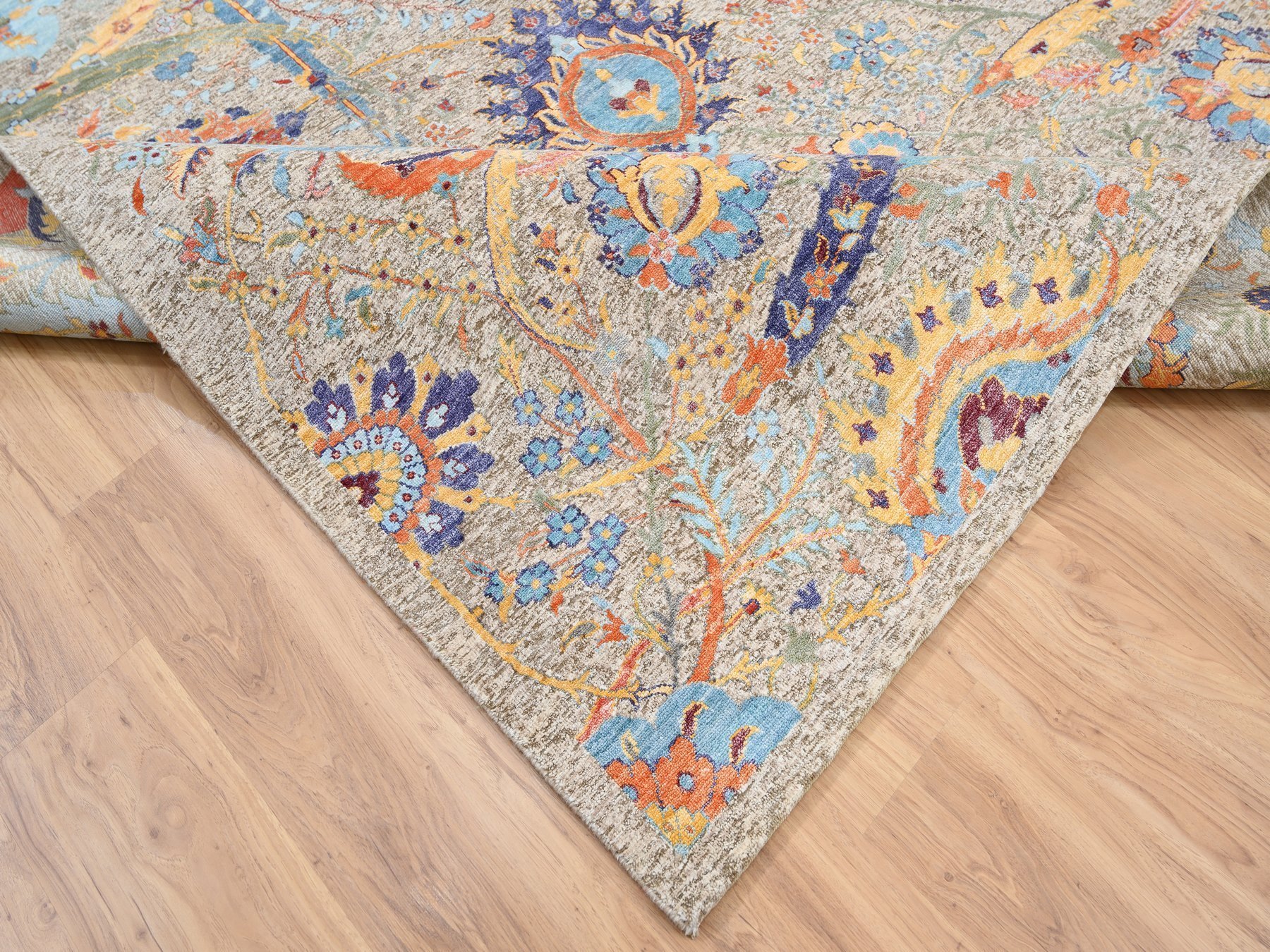Transitional Rugs LUV569178